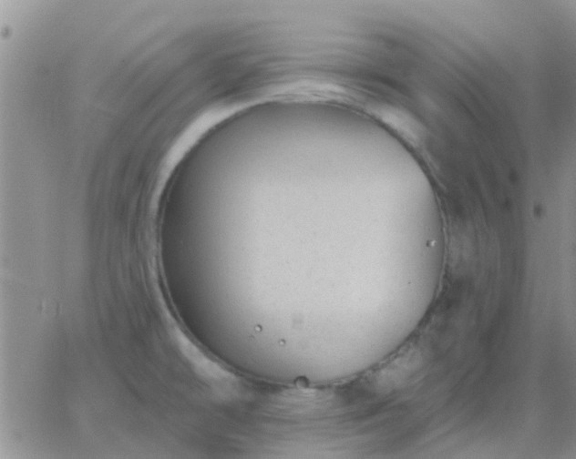 X0000065261478200602242102