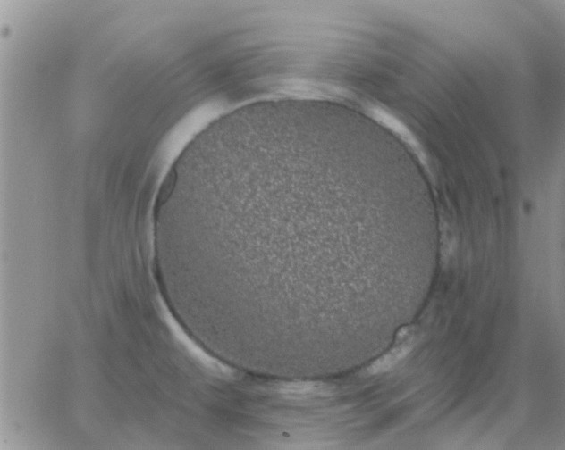 X0000065261479200602242102