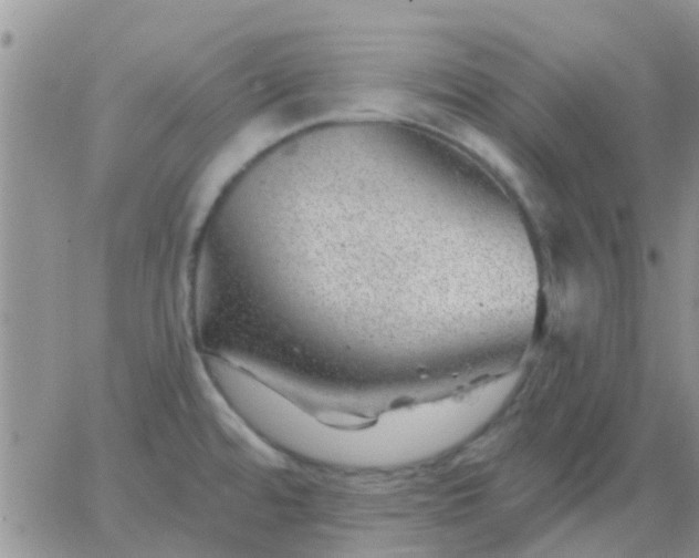 X0000065261480200602242102