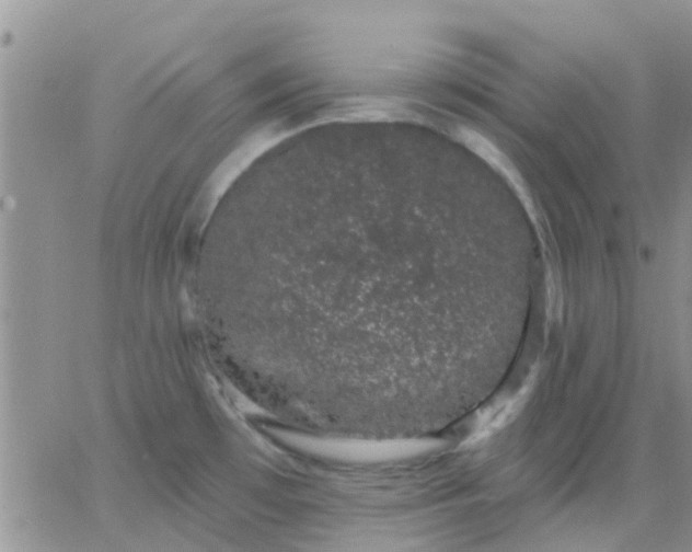 X0000065261481200602242102