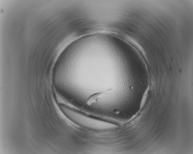 X0000065261483200602242102