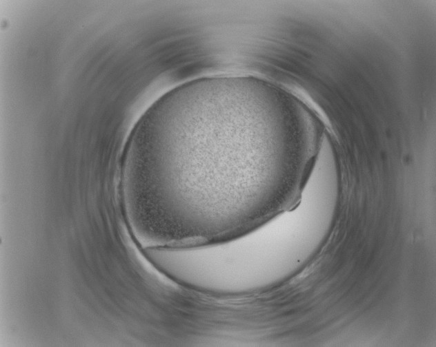 X0000065261484200602242102