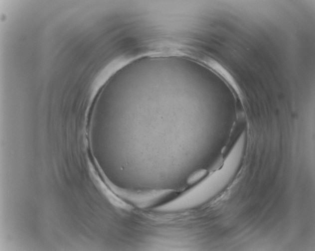 X0000065261485200602242102