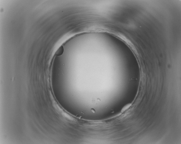 X0000065261486200602242102