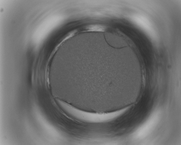 X0000065261487200602242102