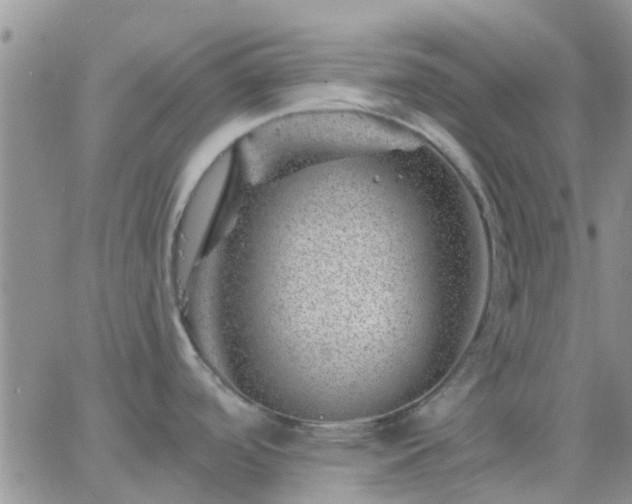 X0000065261488200602242102