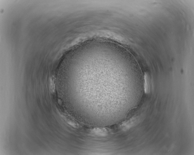 X0000065261491200602242101