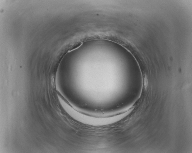 X0000065261492200602242101