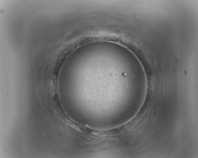 X0000065261493200602242101