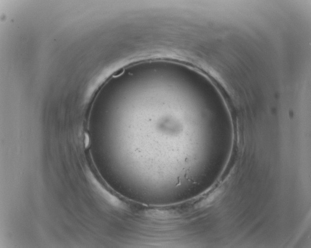 X0000065261500200602242101