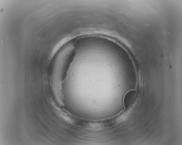 X0000065261501200602242101