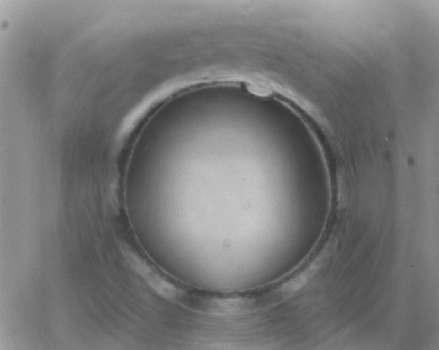 X0000065261502200602242101