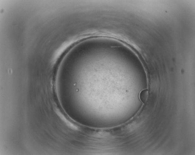 X0000065261503200602242101