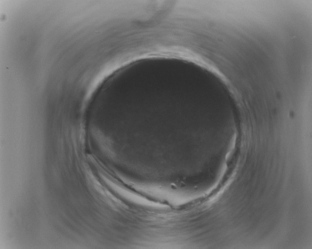 X0000065261506200602242101