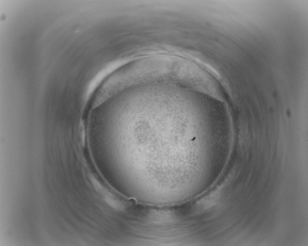 X0000065261509200602242102