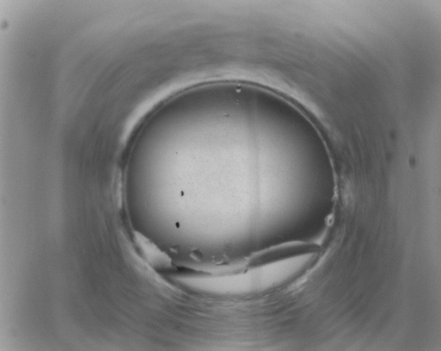 X0000065261510200602242102