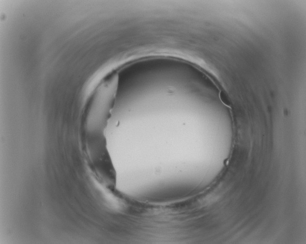 X0000065261511200602242102