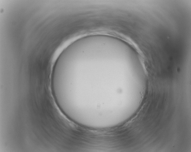 X0000065261512200602242102