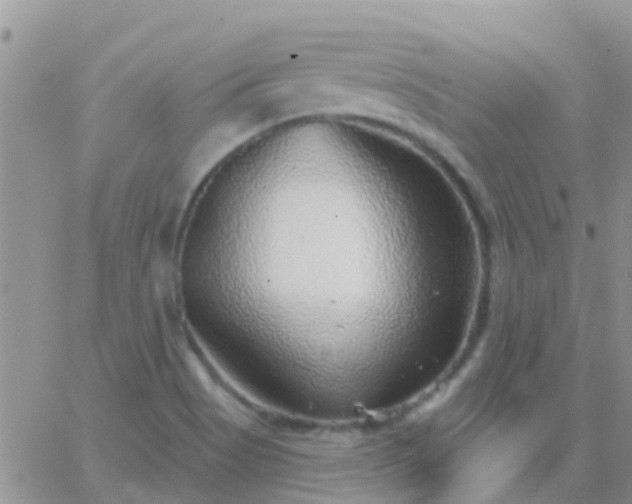 X0000065261513200602242102