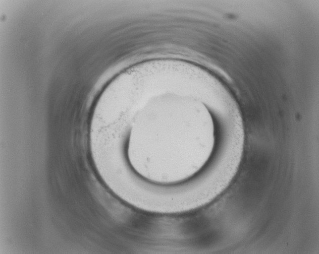 X0000065261514200602242102