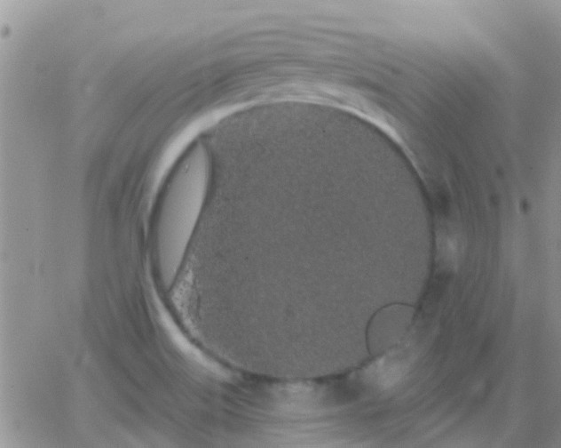 X0000065261515200602242102