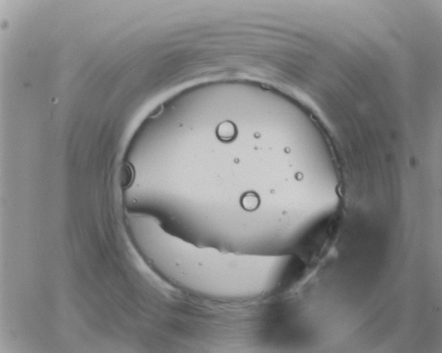 X0000065261516200602242102