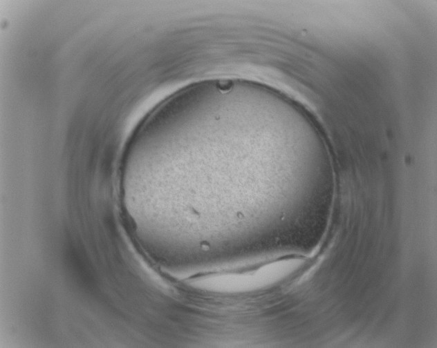 X0000065261517200602242102