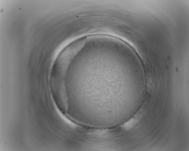 X0000065261519200602242102