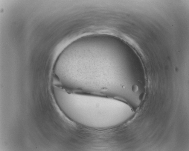 X0000065261520200602242102