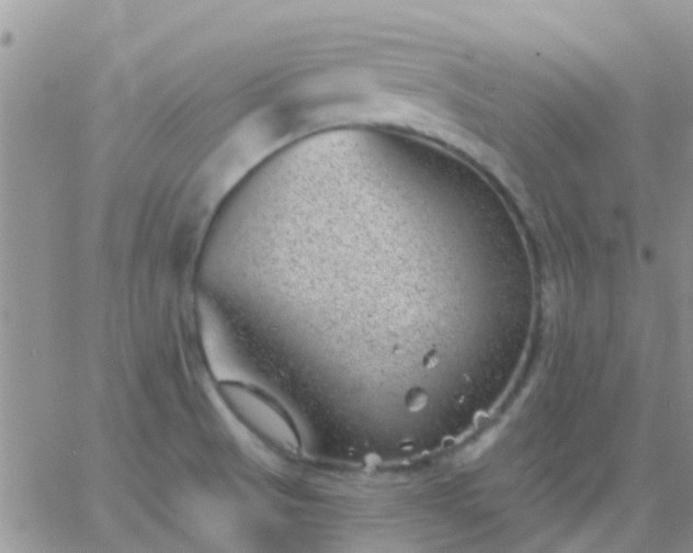 X0000065261521200602242102