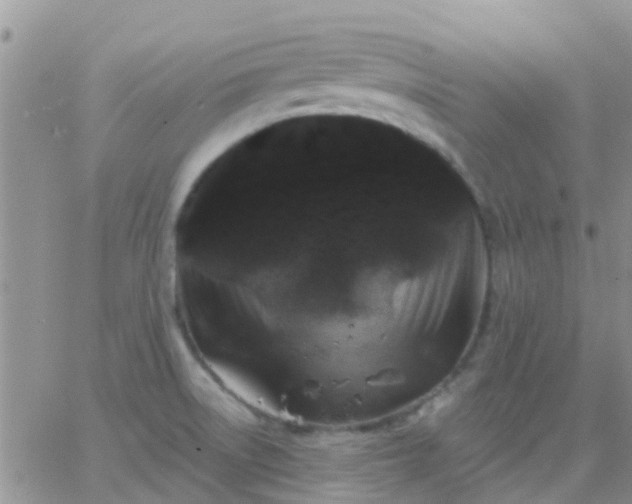 X0000065261522200602242102