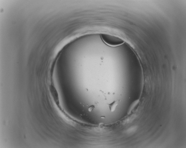 X0000065261523200602242102