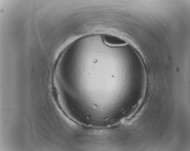 X0000065261525200602242102