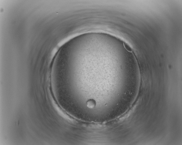 X0000065261526200602242102