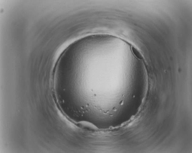 X0000065261527200602242102