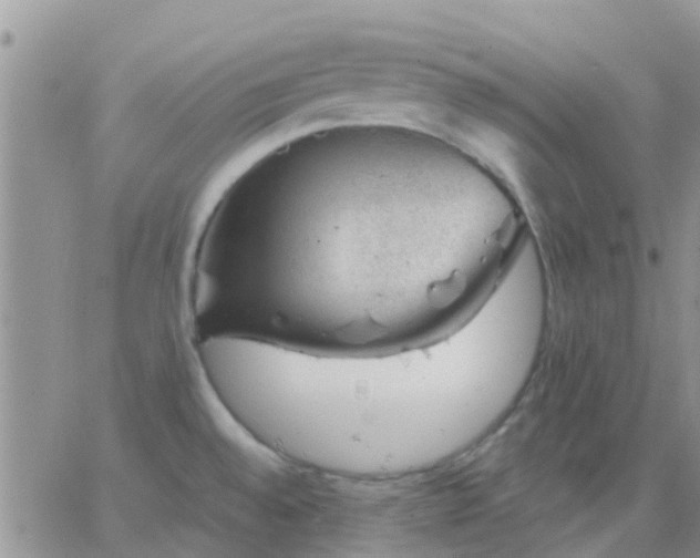 X0000065261528200602242102