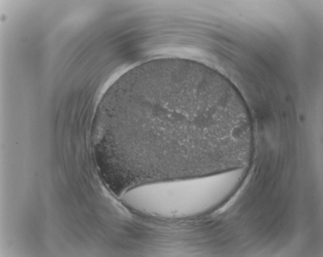 X0000065261529200602242102