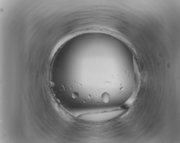 X0000065261530200602242102