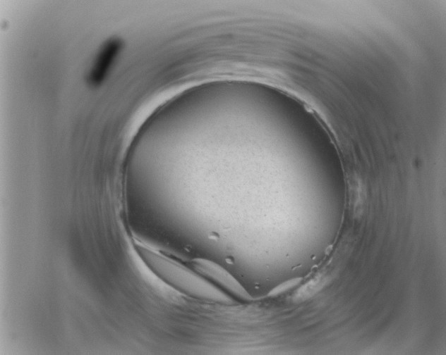 X0000065261531200602242102