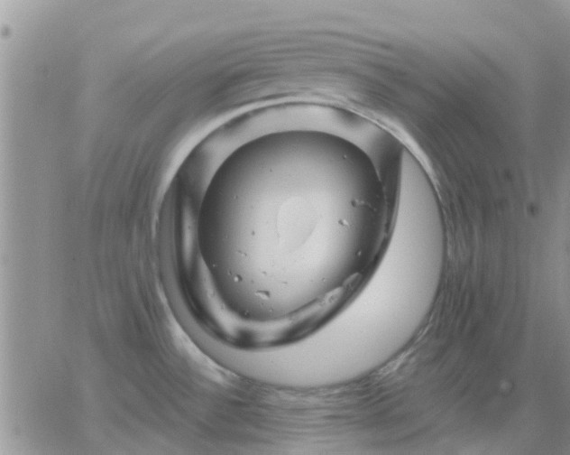 X0000065261532200602242102