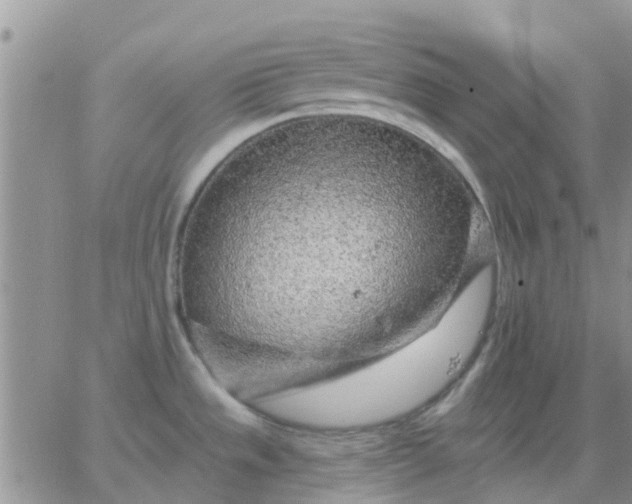 X0000065261533200602242102