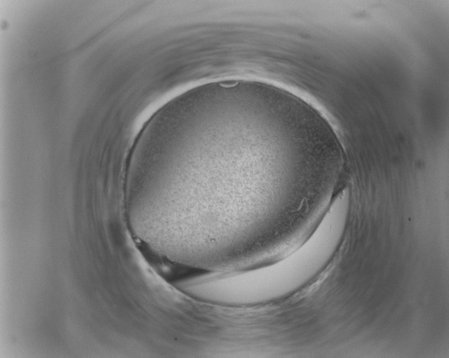 X0000065261534200602242102