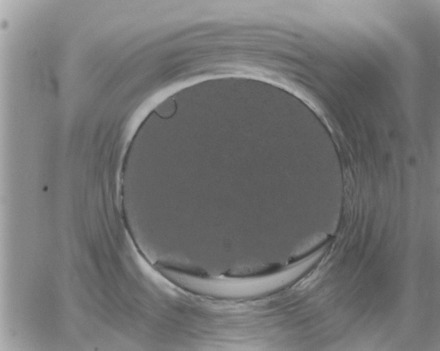 X0000065261535200602242102