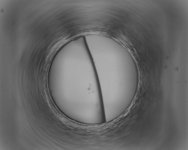 X0000065260001200603031840