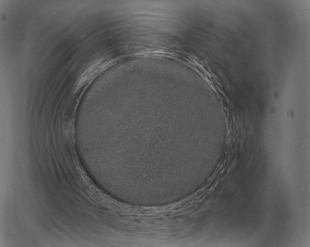 X0000065260002200603031840