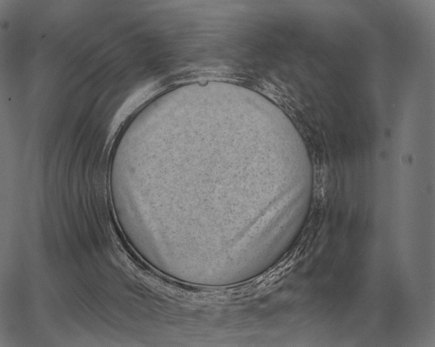 X0000065260004200603031840