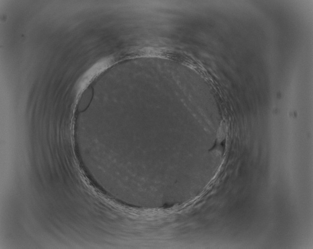 X0000065260006200603031840