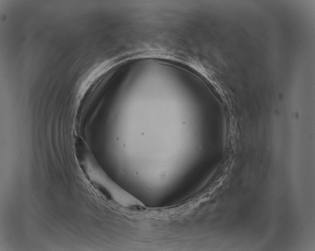 X0000065260007200603031840