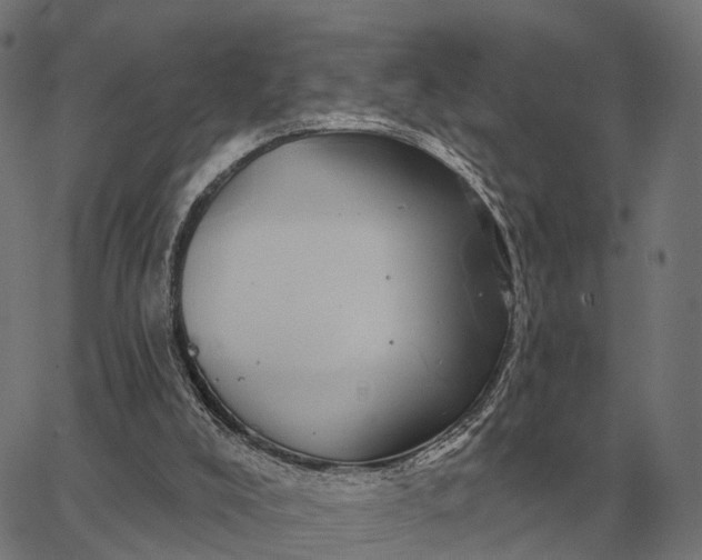 X0000065260008200603031840