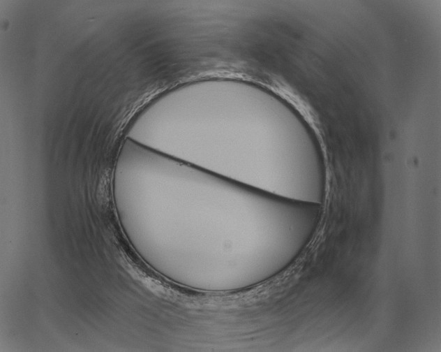 X0000065260009200603031840